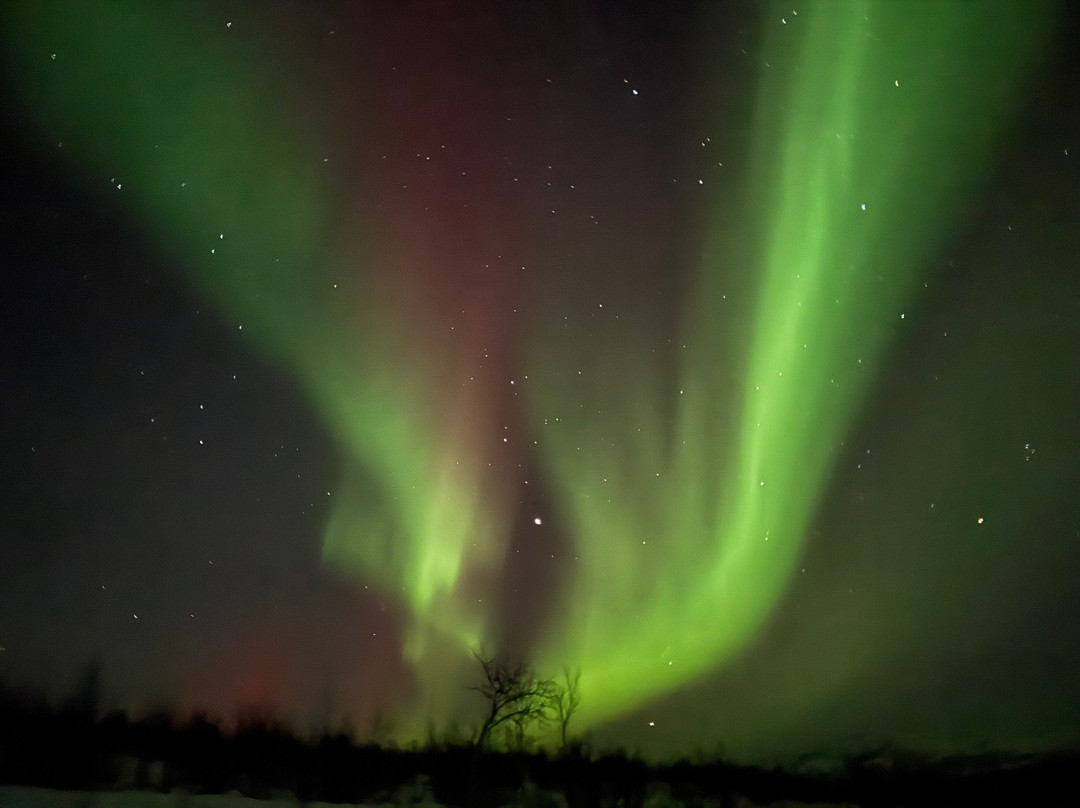 阿比斯库户外之旅-阿比斯库必去景点