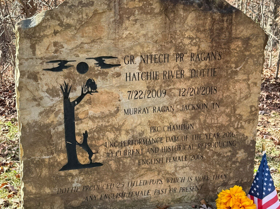 Coon Dog Cemetery-Cherokee必去景点