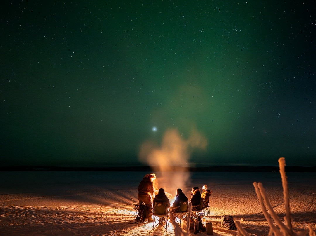 Lupland Adventures-Ranua必去景点