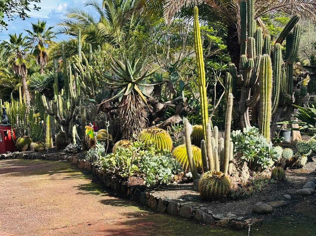 Bodega San Juan - Museo del Vino-Santa Brigida必去景点