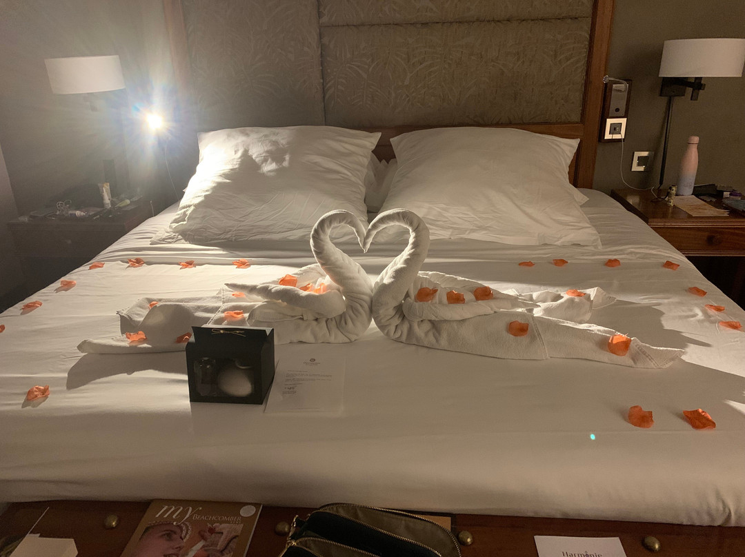 迪娜罗宾酒店高尔夫及水疗中心主图