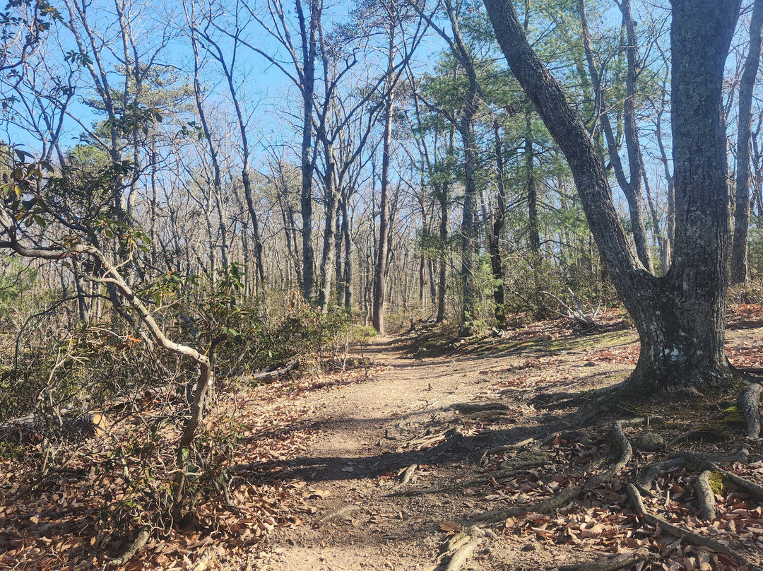 Bakers Mountain Park-希科里必去景点