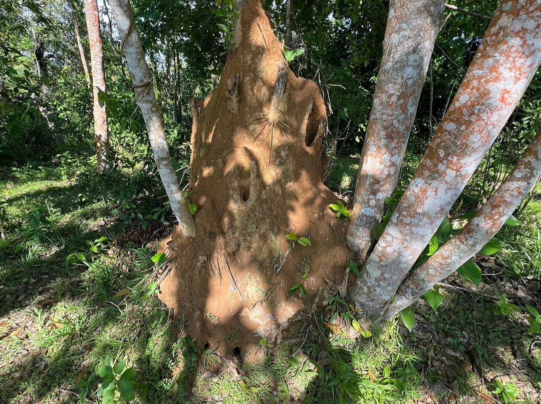 Koggala Lake Boat Safari & Kayak Adventure with Malish-克拉必去景点