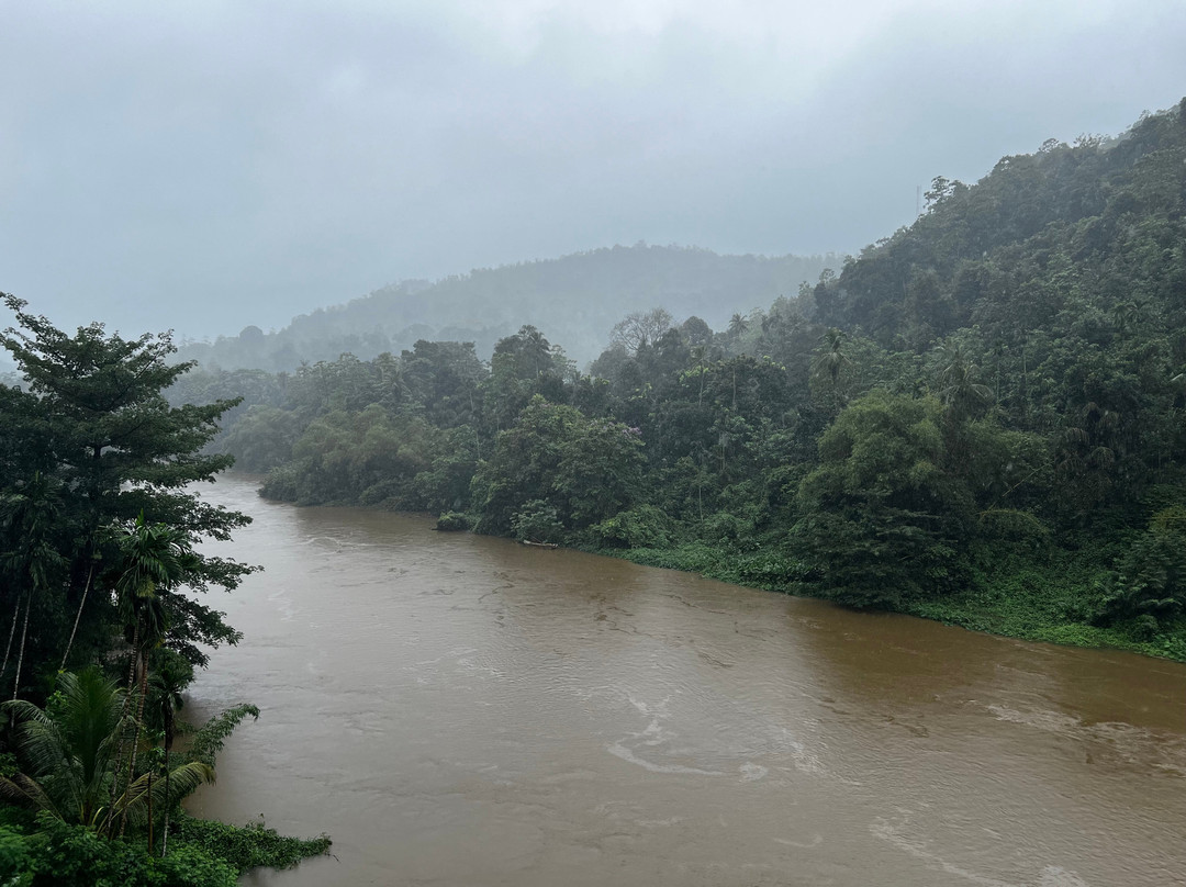 Winland Coffee & Stay