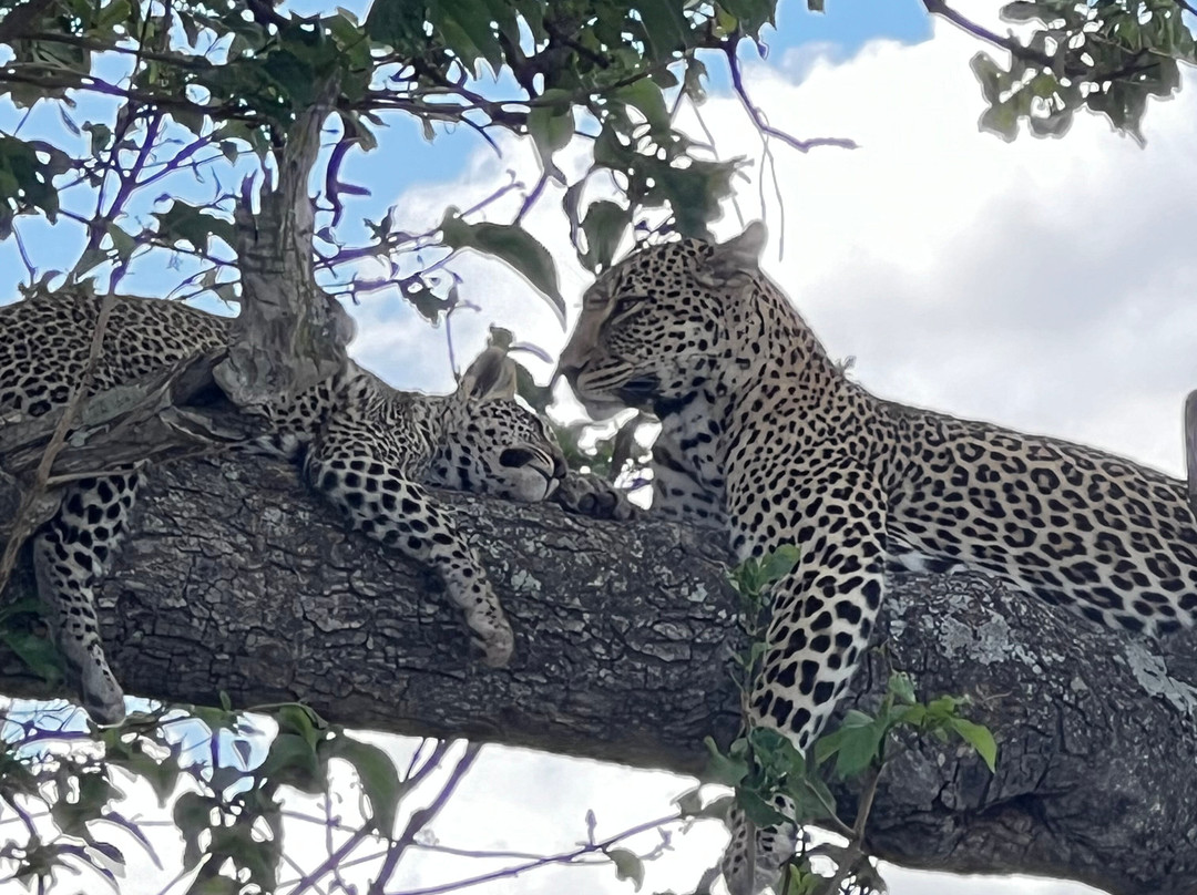 易捷旅游-一日游-阿鲁沙必去景点