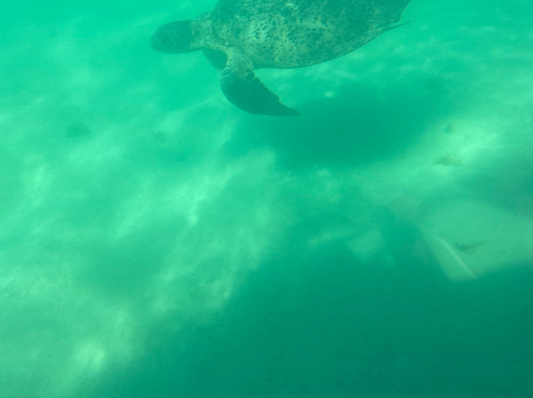 View Ningaloo-埃克斯茅斯必去景点