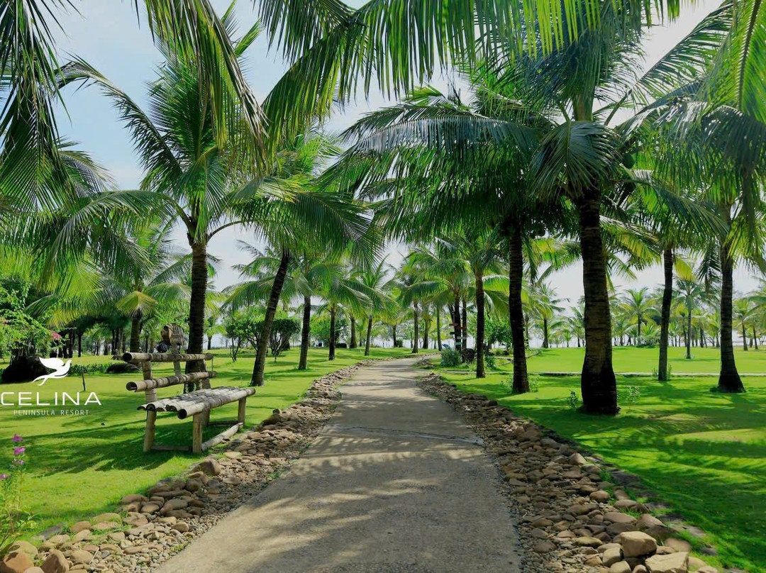 Celina Peninsula Resort主图