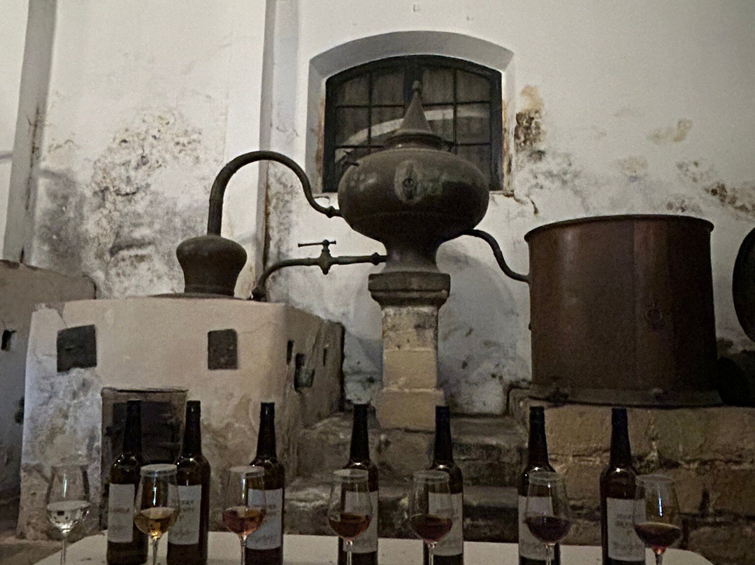 Bodegas Tio Pepe-赫雷斯德拉弗隆特拉必去景点