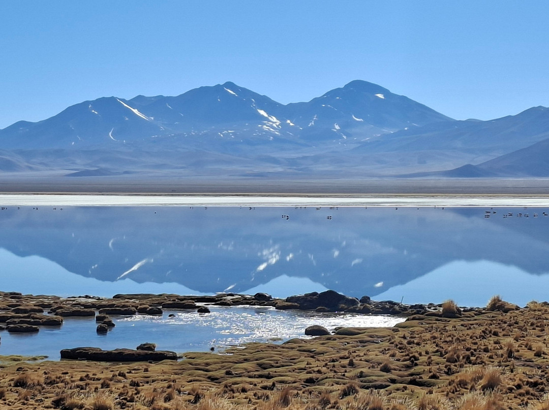 Adventure Peaks-安布赛德必去景点