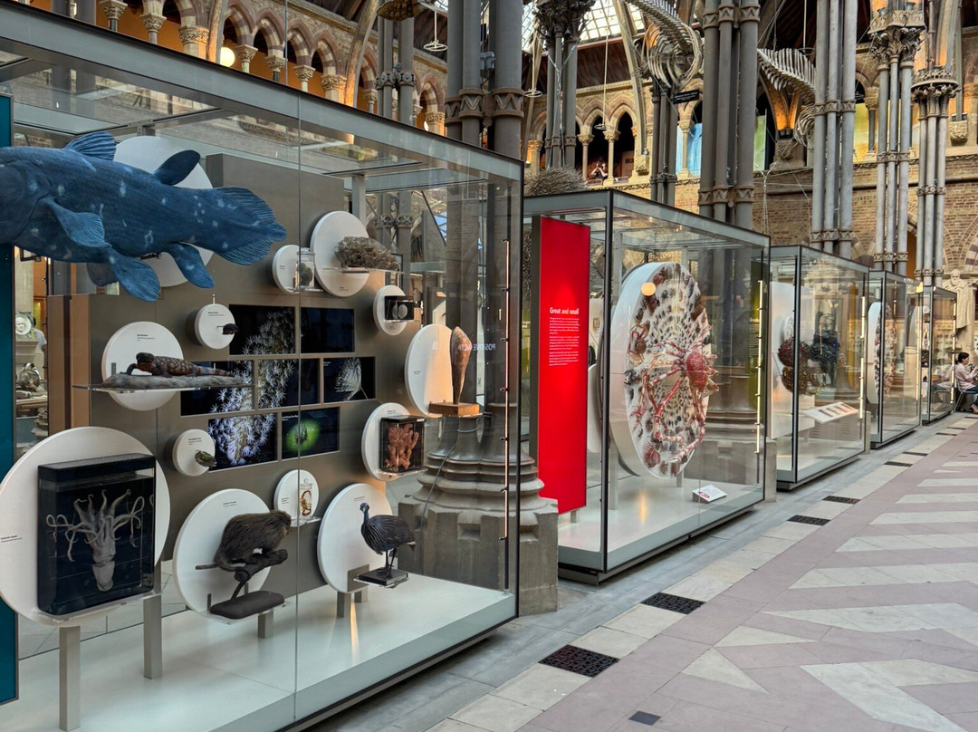 牛津大学自然历史博物馆-牛津必去景点