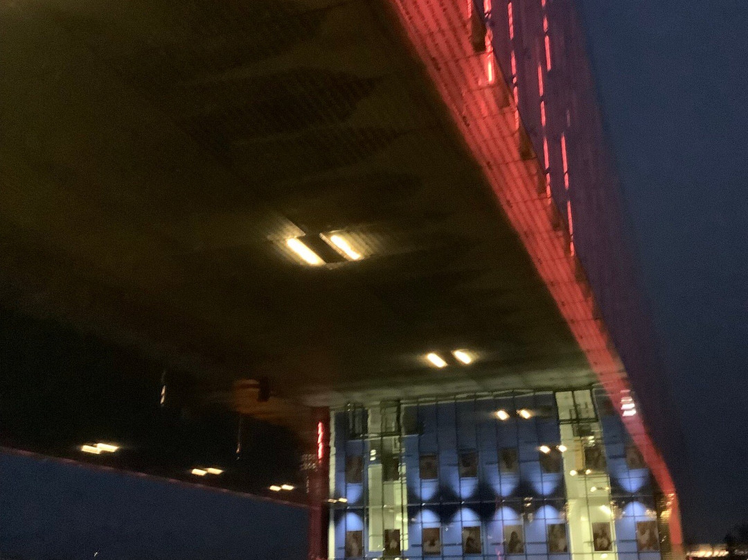 Lentos Kunstmuseum (Museum of Modern Art Linz)-林兹必去景点