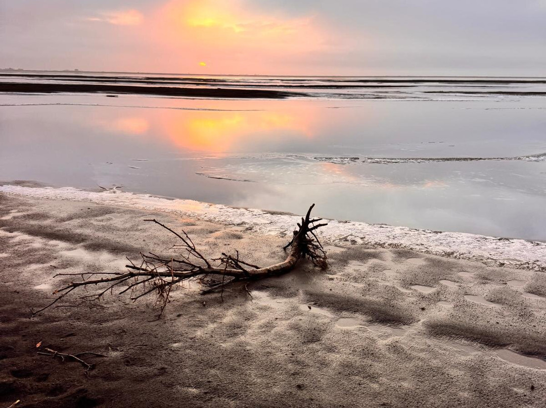 Eldhestar Volcano Horses-Olfus必去景点