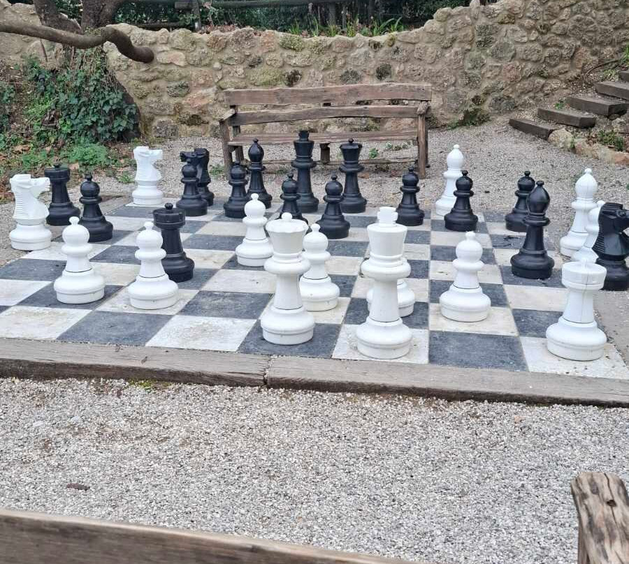 Area Synest Nature Suites主图