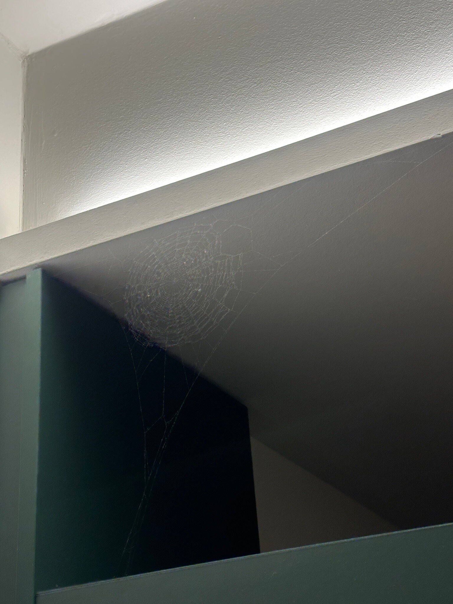 Amadeo Hotel Schaffenrath-官方