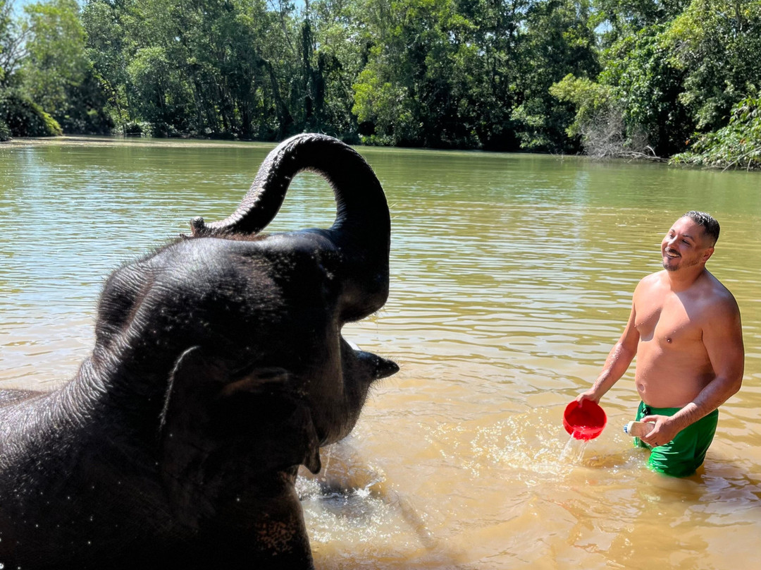 The Lake Phuket Elephant Home-Thep Krasatti必去景点