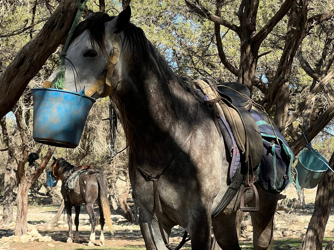 Cheval Essaouira-索维拉必去景点