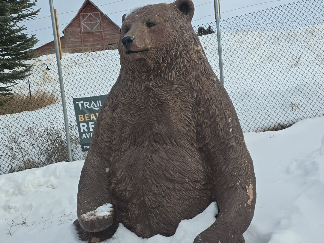 Montana Grizzly Encounter-博兹曼必去景点
