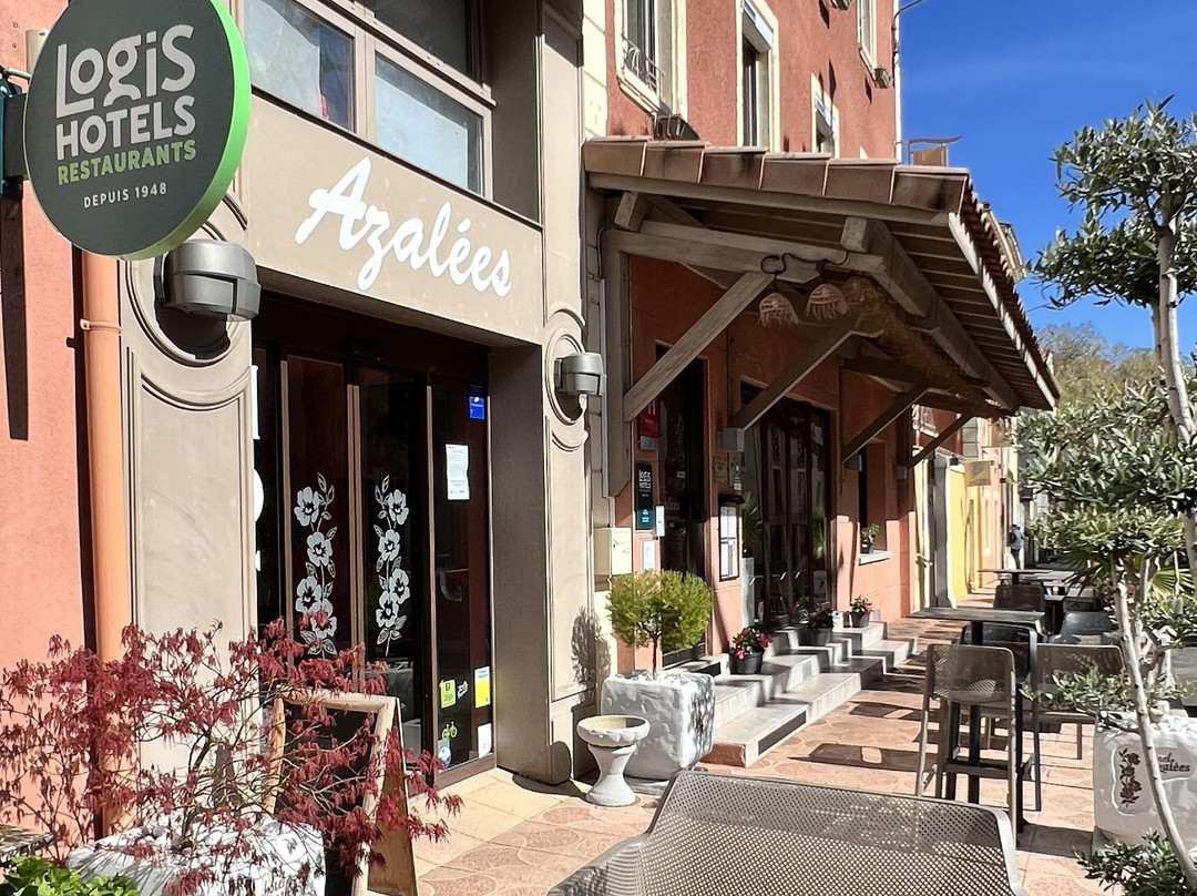 Logis Hôtel Azalées主图