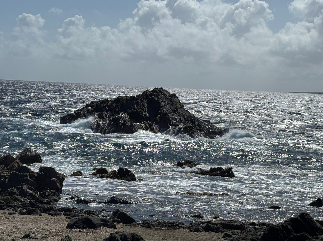 Rancho Loco-Santa Cruz必去景点