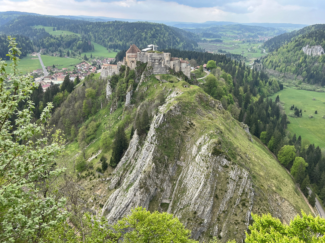 Fort Malher du LArmont Inférieur-La Cluse-et-Mijoux必去景点