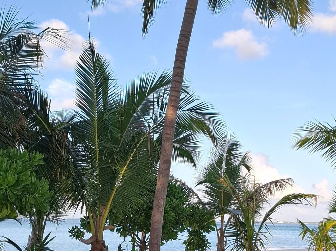 Riu Atoll House Reef