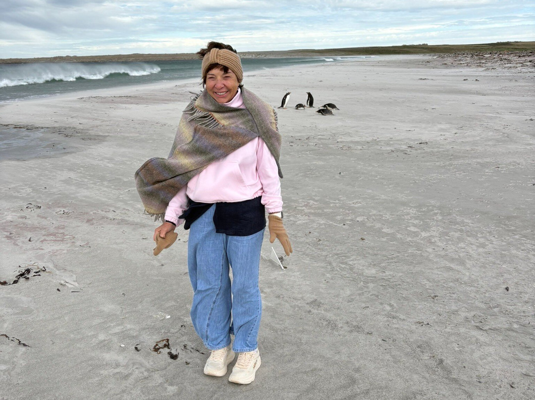 Bluff Cove Lagoon-East Falkland必去景点