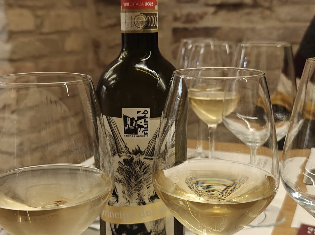 M.i.o. Made In Offida - Vinisanfilippo-Offida必去景点