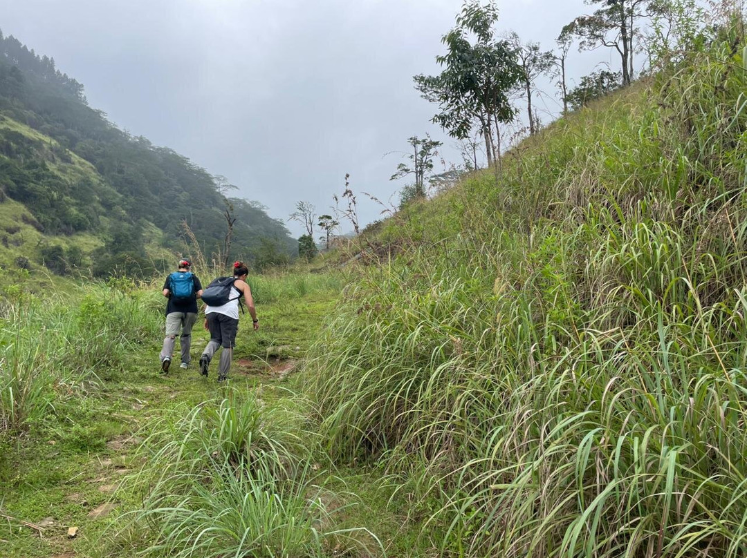 Nipuna Knuckles Trekking-康提必去景点