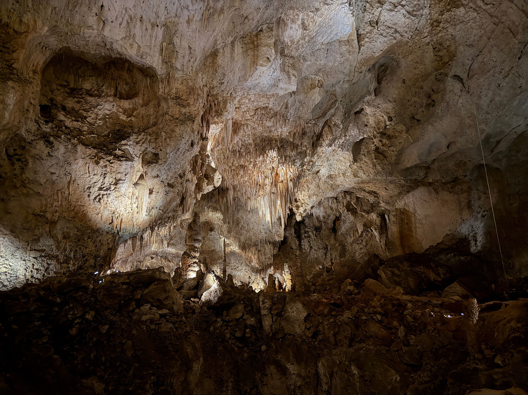 Bottomless Pit-卡尔斯巴德洞穴国家公园必去景点