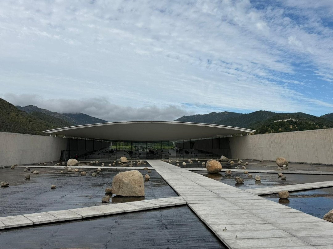 Colchagua Wine Tours-圣克鲁斯必去景点