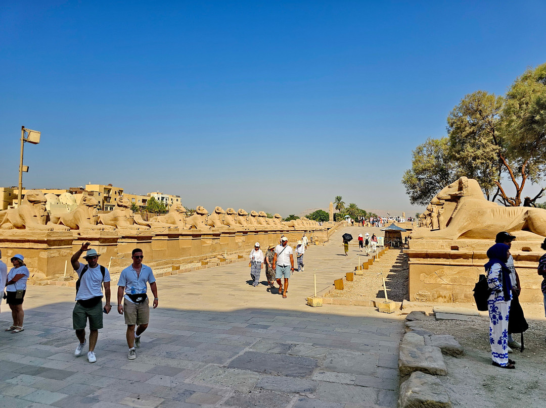 Avenue of Sphinxes-卢克索必去景点