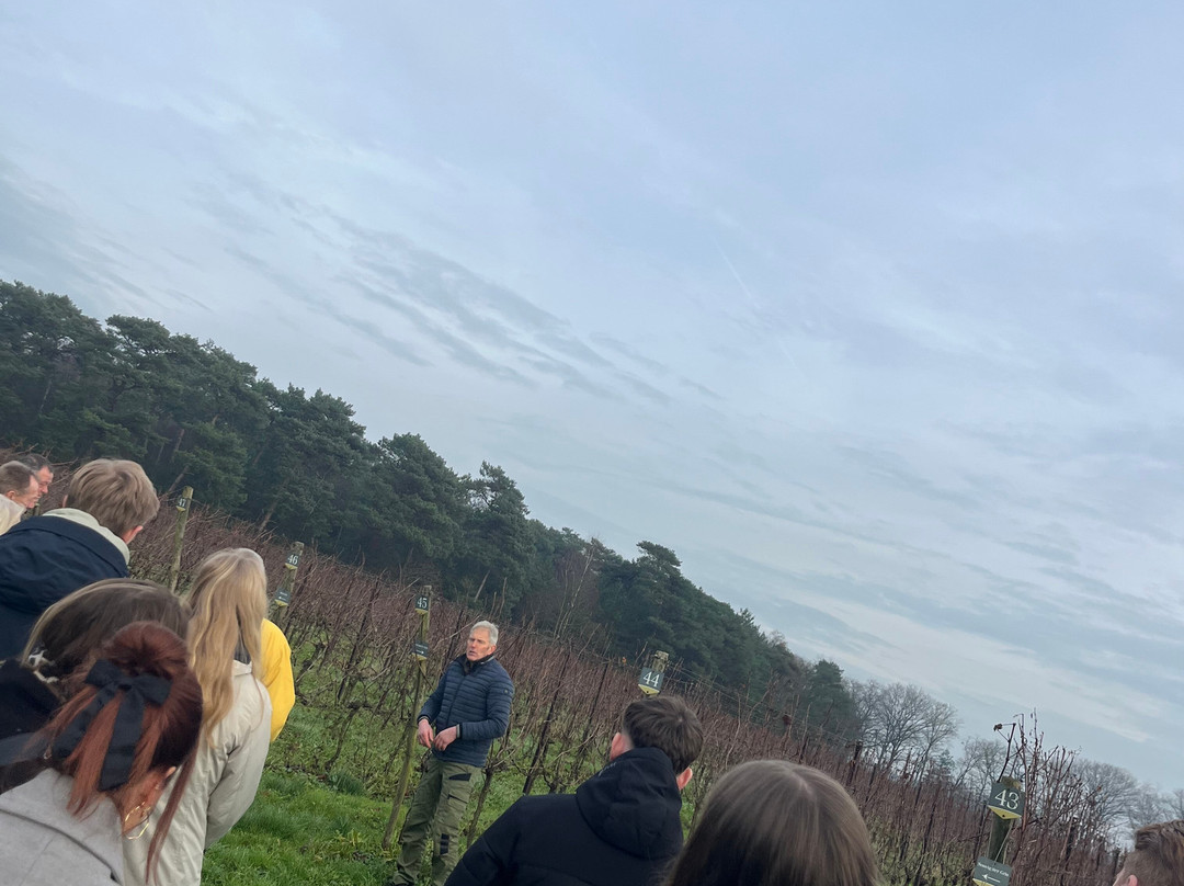 Wijngaard By Ypma-De Rips必去景点