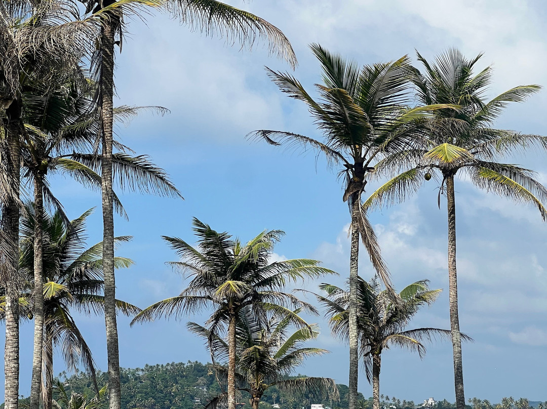 SL Seeland Travels-尼甘布必去景点