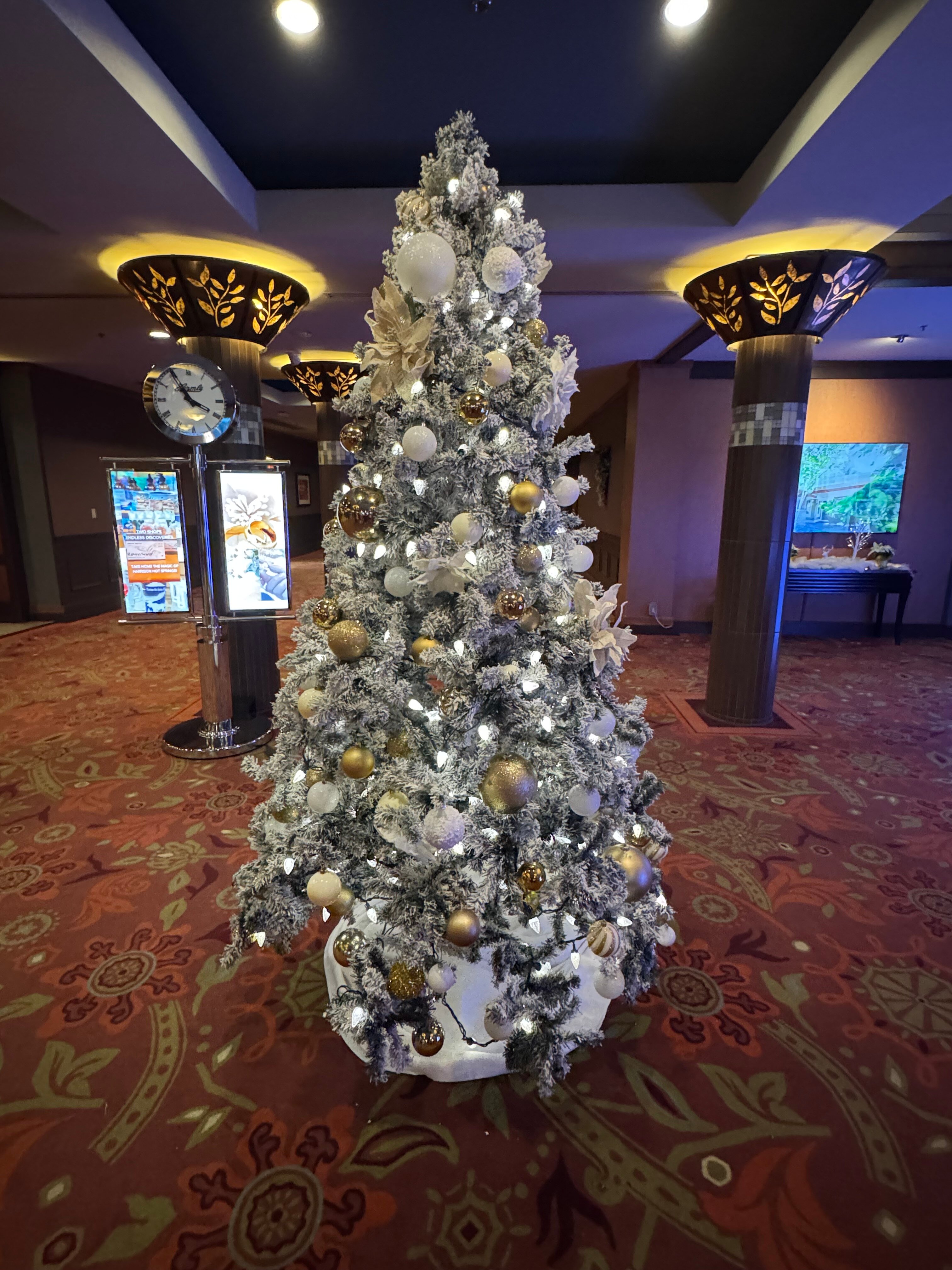 哈里森温泉度假村-官方