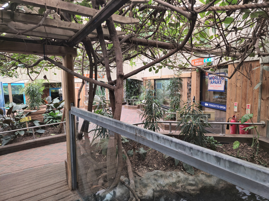 Colchester Zoo-科尔切斯特必去景点