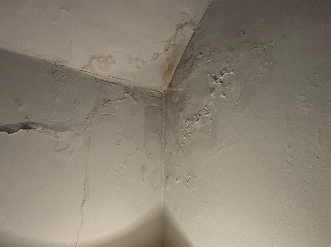 The Greyhound Hotel主图