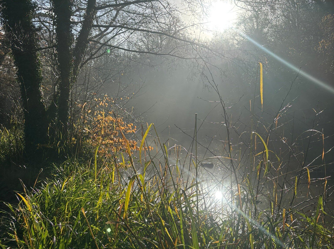 Forty Hall & Estate-恩菲尔德必去景点