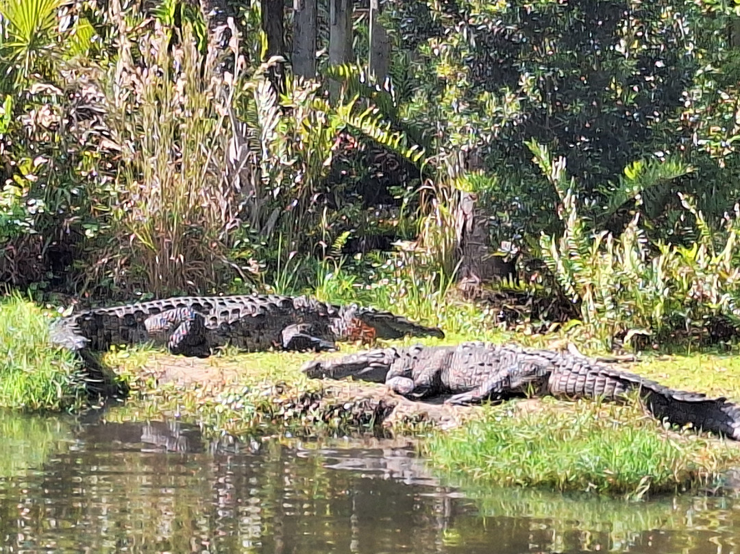 Brevard Zoo-墨尔本必去景点
