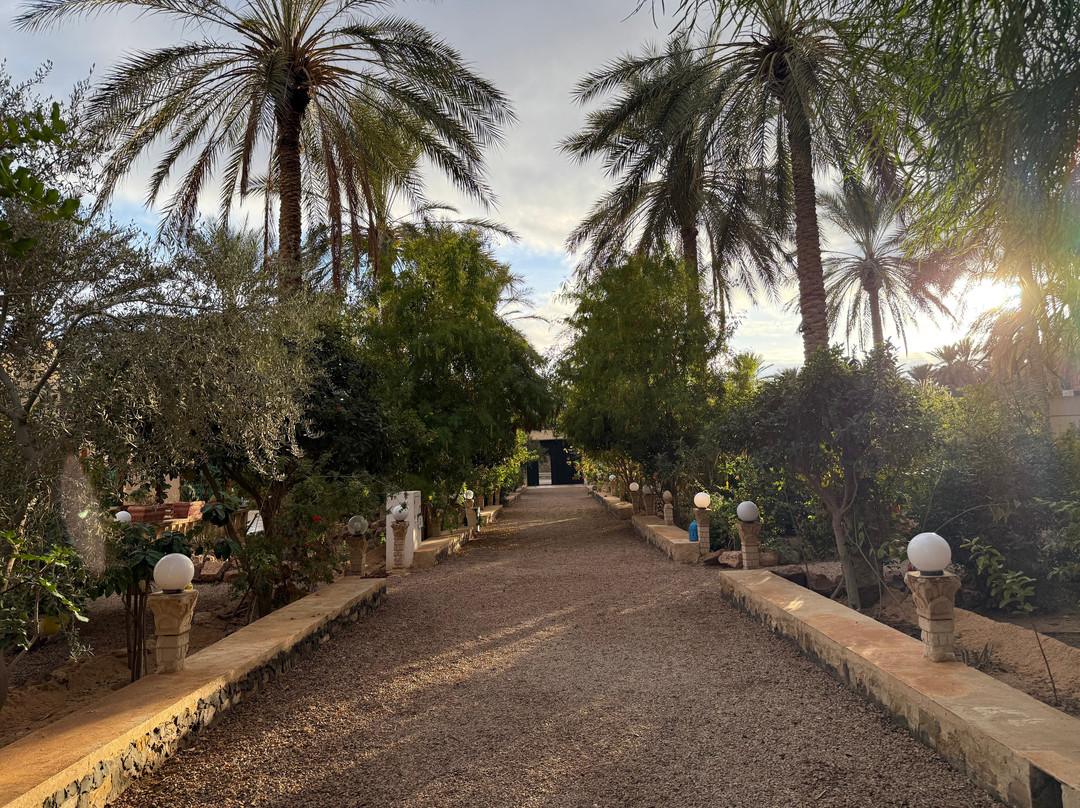 Dar Barka