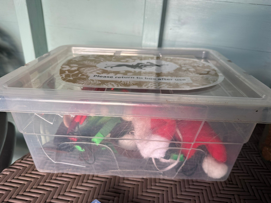 Seaview Dog Meadow-Wiveton必去景点