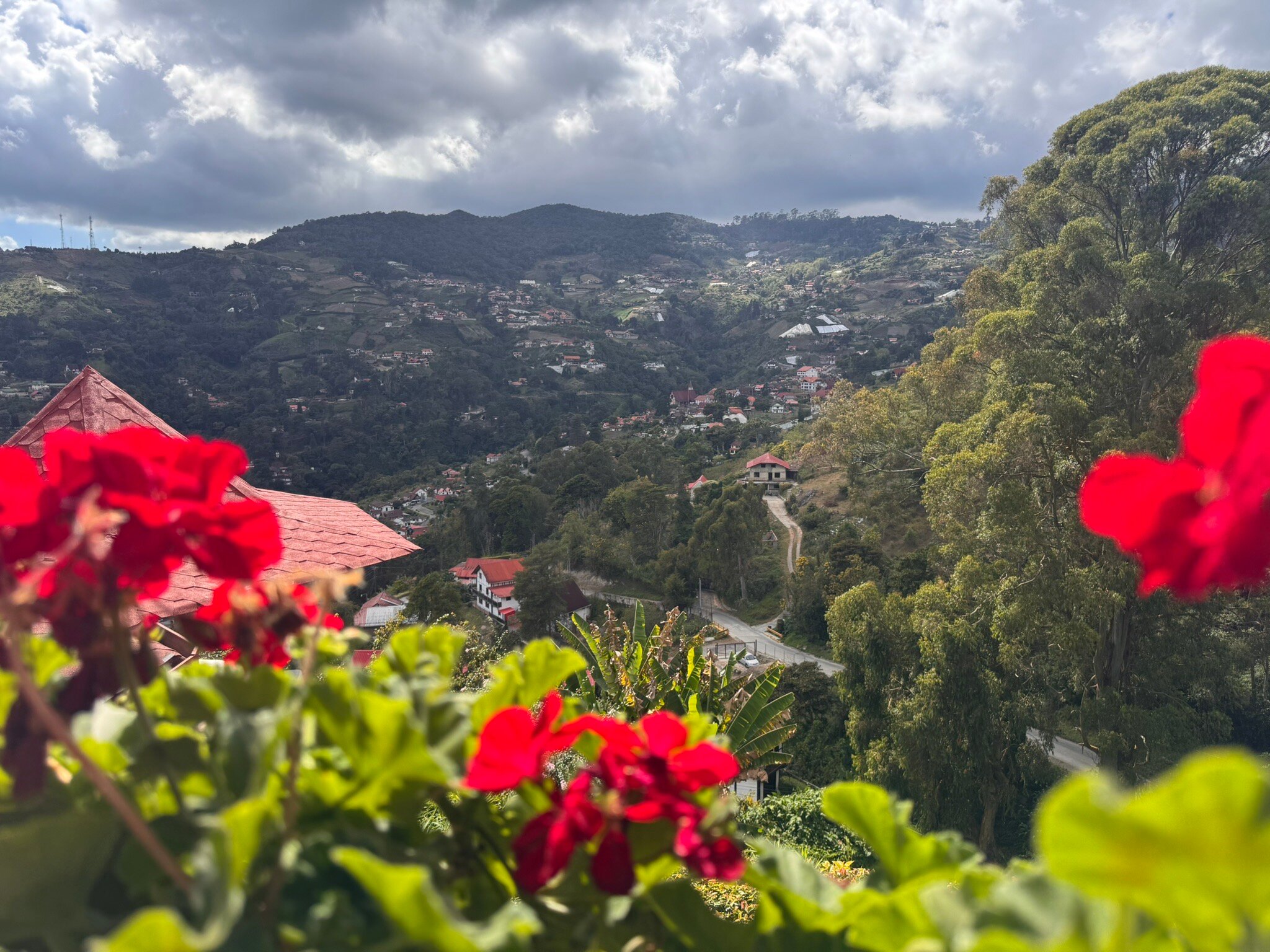 Posada Don Elicio-官方