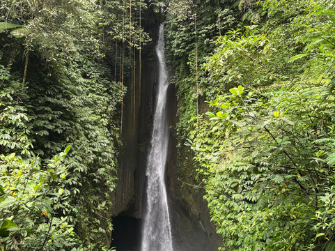 Ubud Center Tour Driver-乌布必去景点