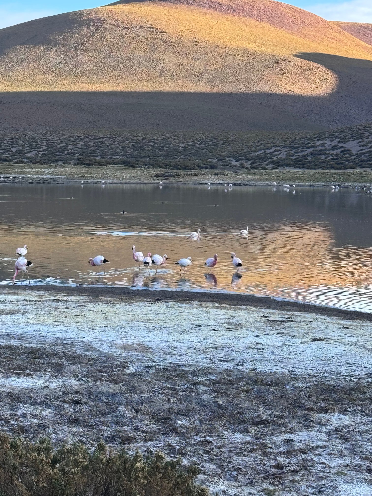 Tierra Atacama-官方