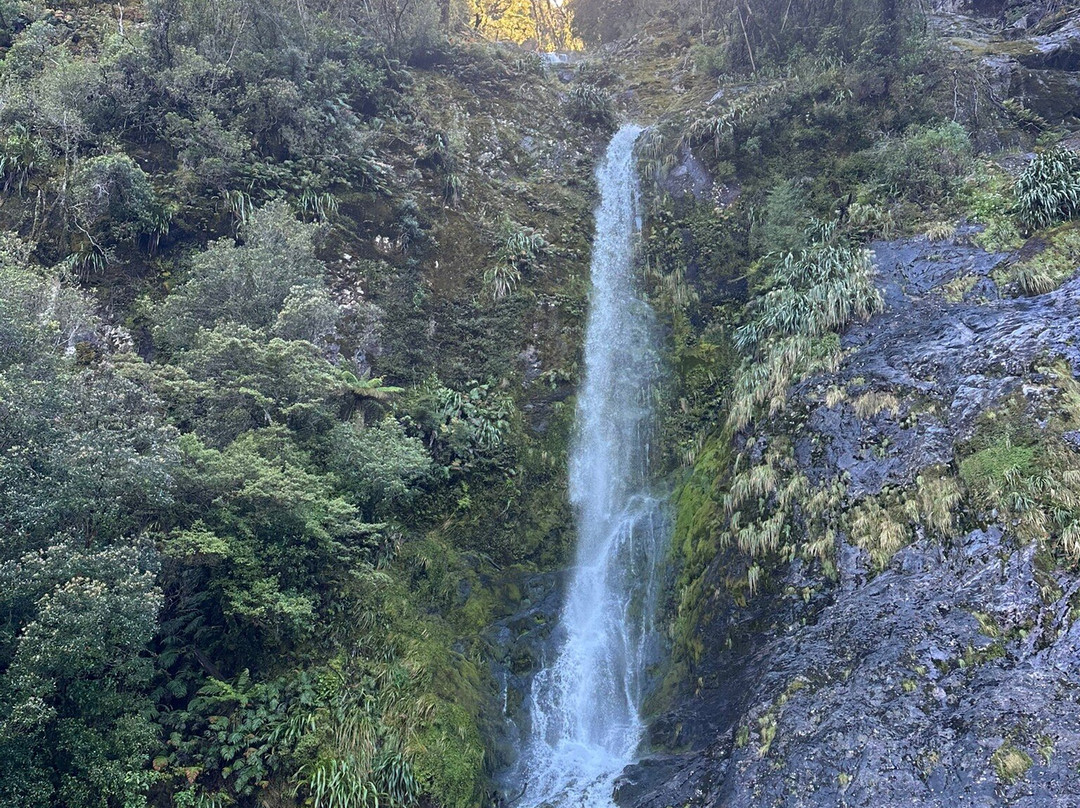 Doubtful Sound Kayak-马纳普里必去景点