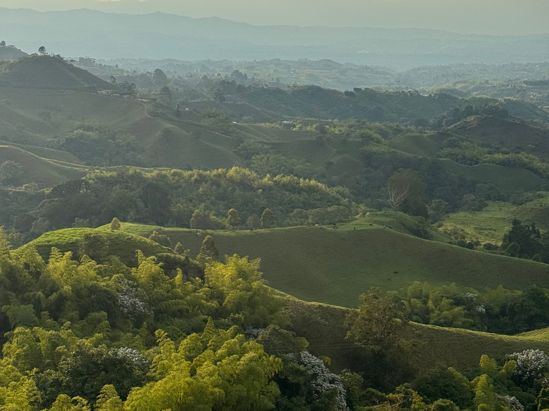 Magic Tours del Café-亚美尼亚必去景点