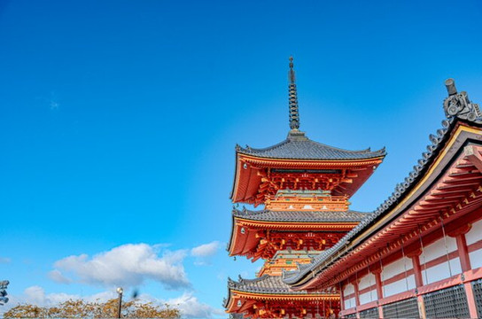 Diper Tour-成田市必去景点