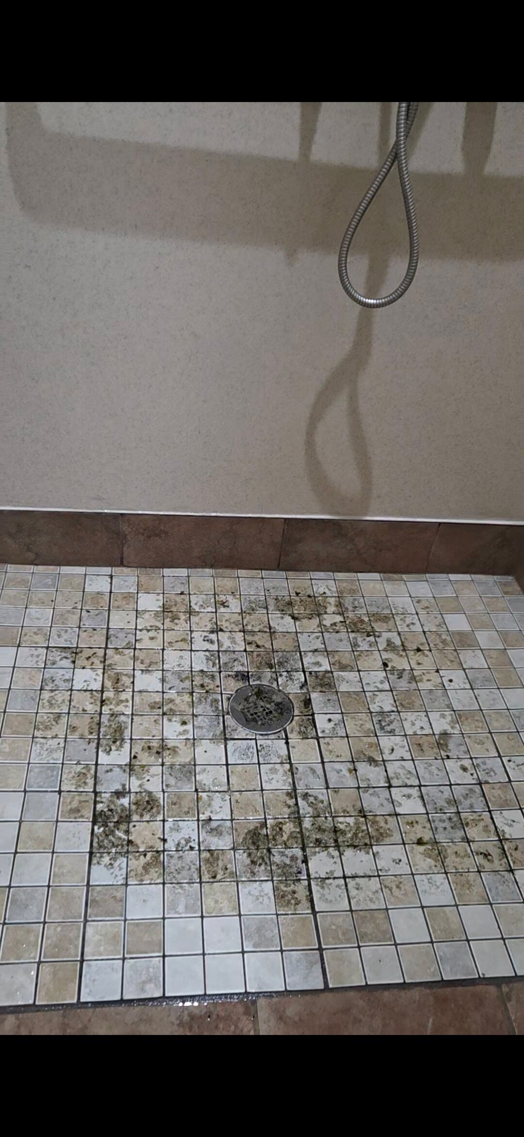 黛娜花园酒店-官方