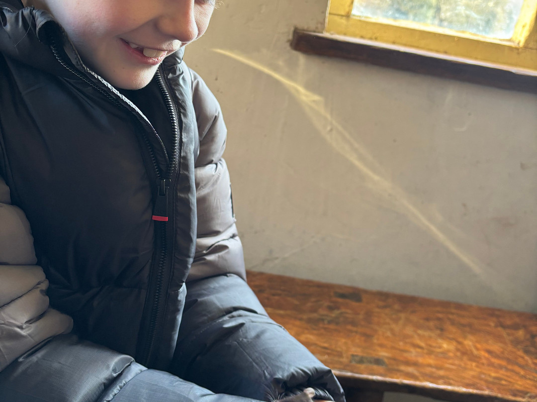 Big Sheep & Little Cow-Bedale必去景点