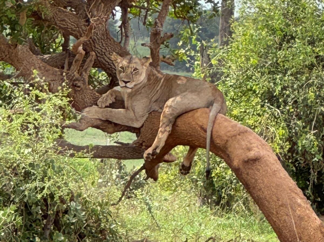 Safari In Kenya Con Samba-瓦塔木必去景点