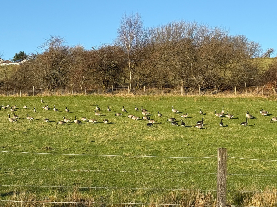 Castle Semple Country Park-Lochwinnoch必去景点